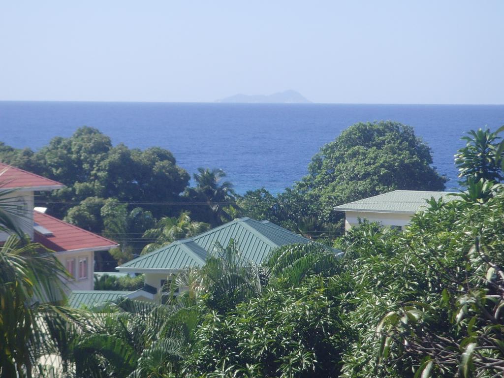 Skyline View *