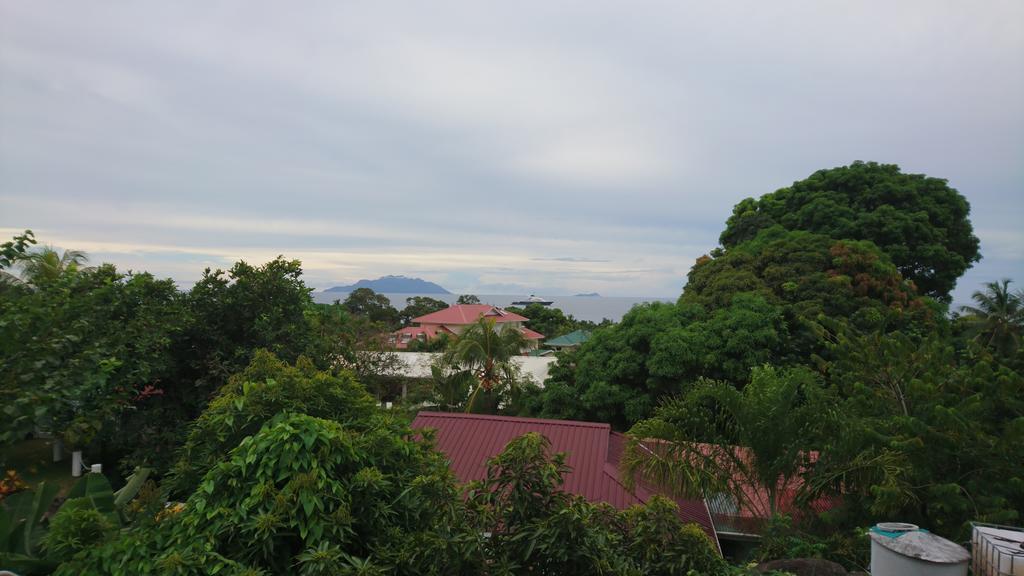 Skyline View *